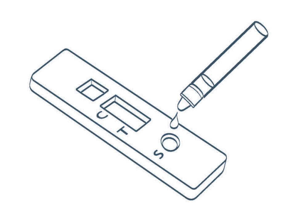 Lateral flow test device