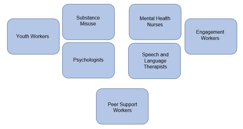 substance misuse, psychologists, youth workers, engagement workers, mental health nurses, speech and language therapists, peer support workers