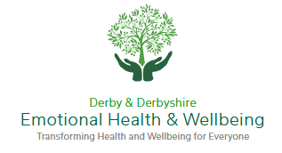 Update on Derby and Derbyshire Emotional Health and Wellbeing website