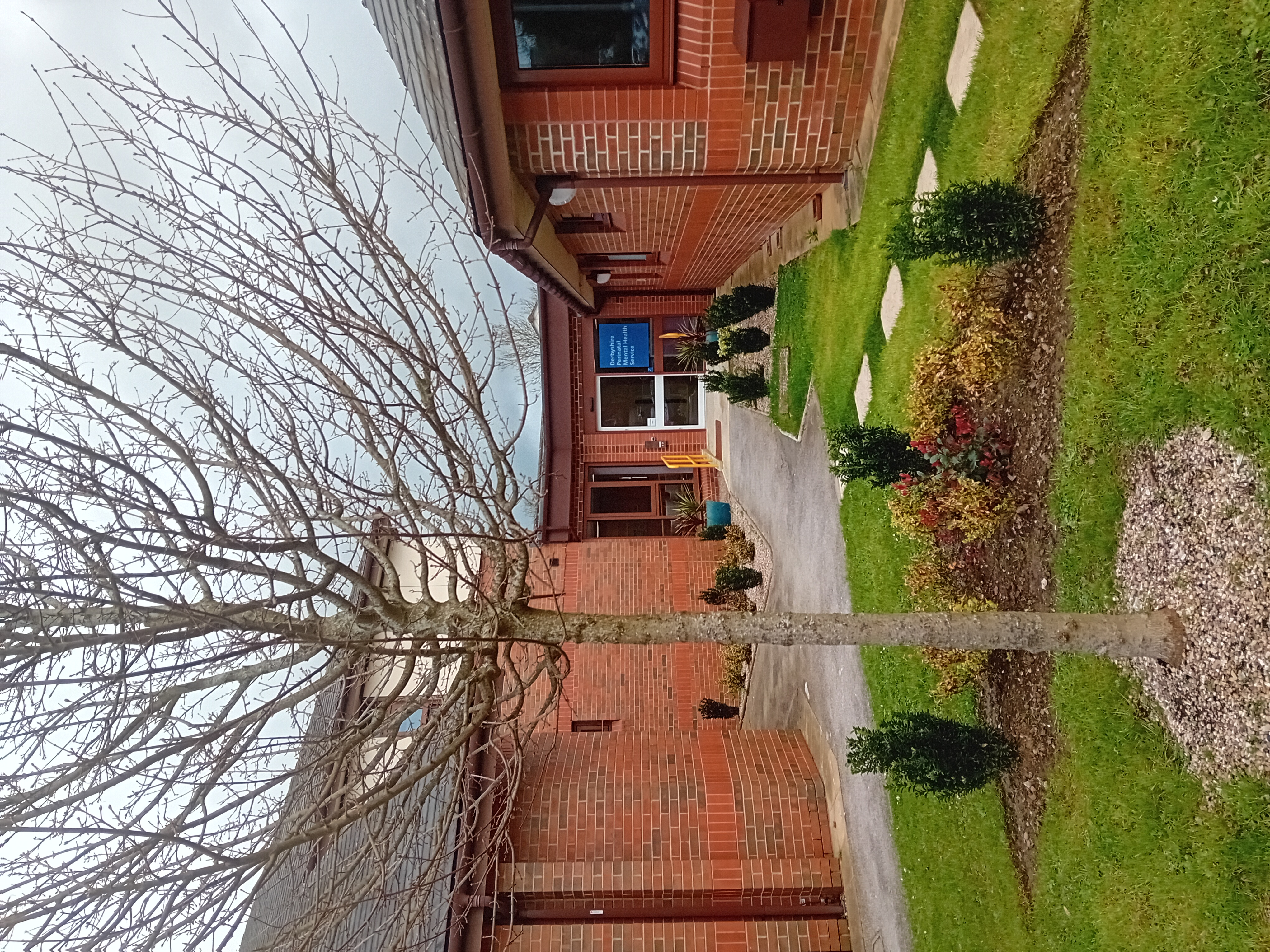 the beeches ext 1.jpg