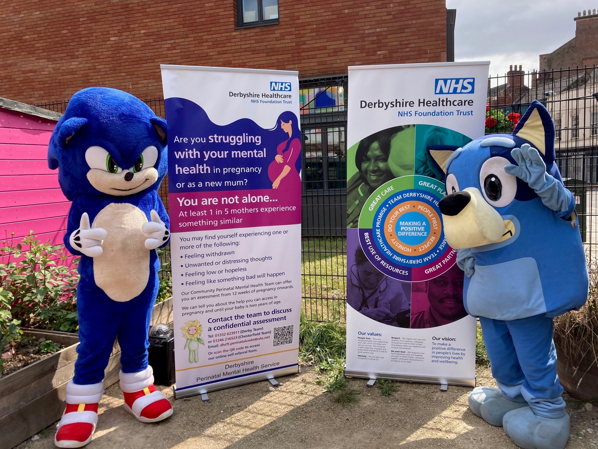 Bluey next to roller banners