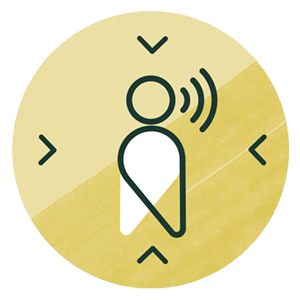 Voice of lived experience