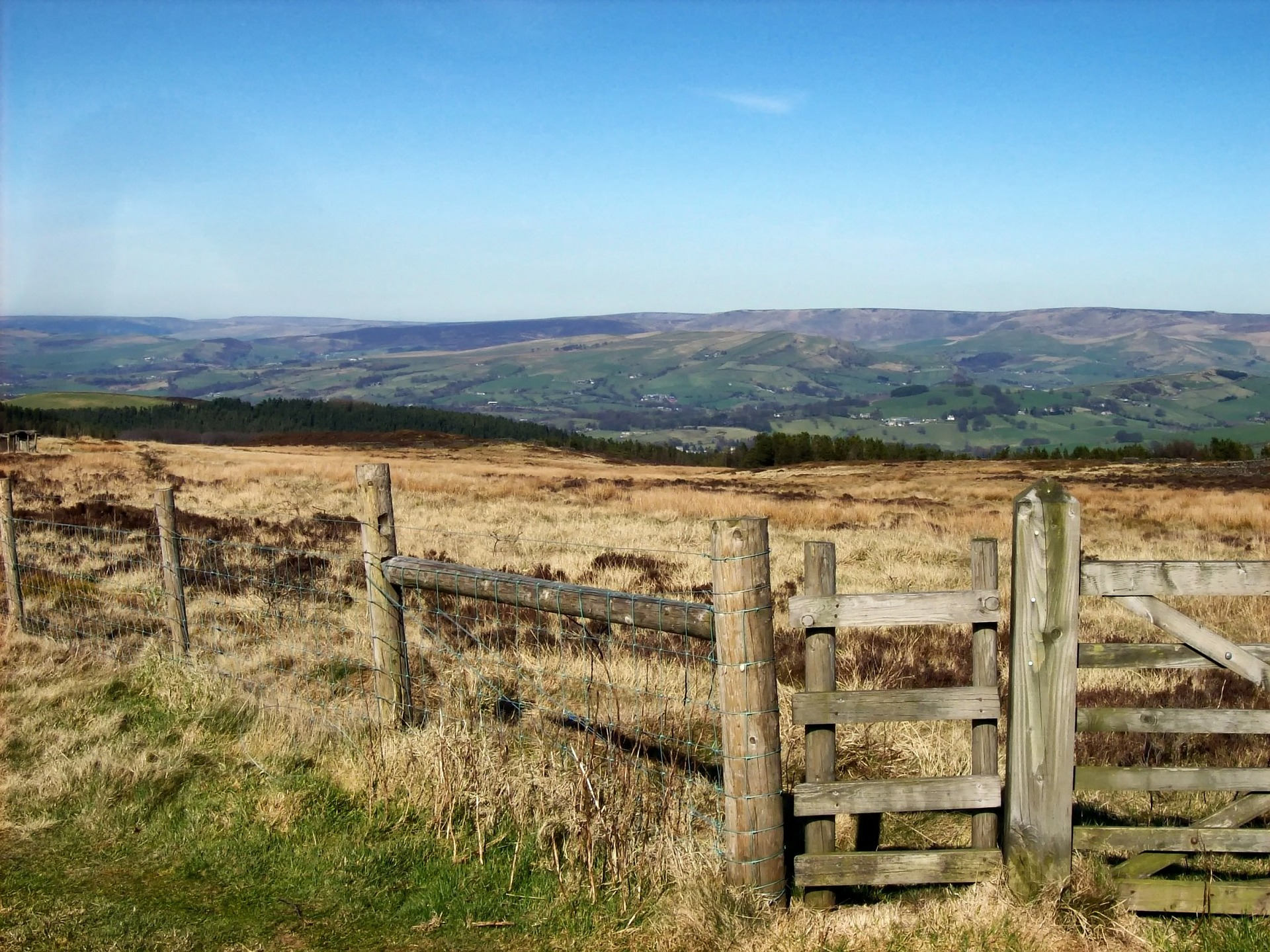 Derbyshire Dales team