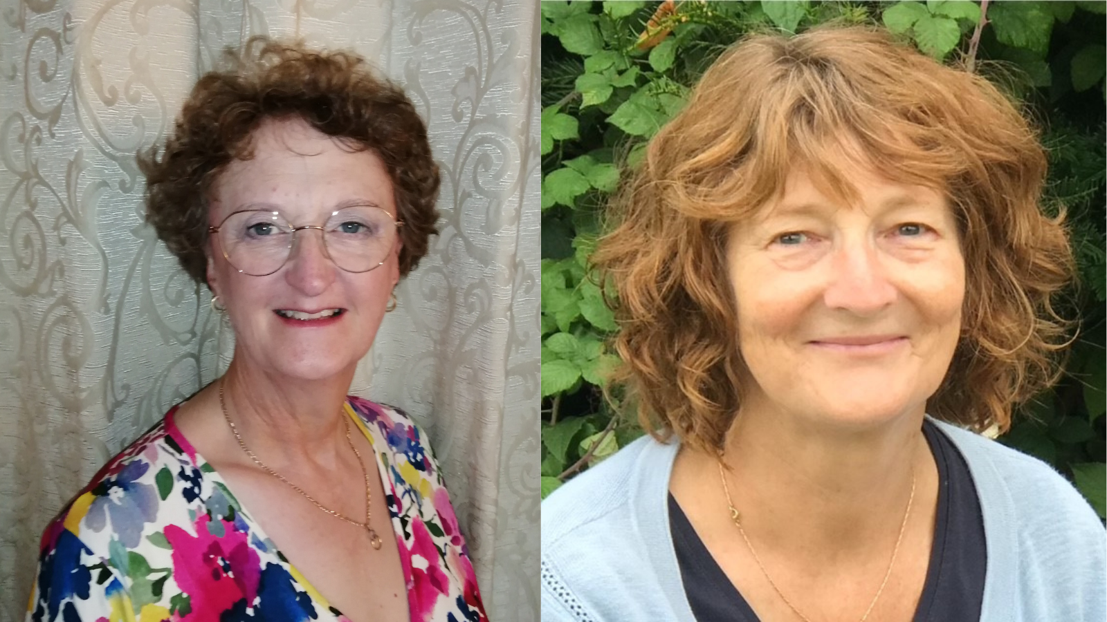 Elaine and Janet OTs at DHCFT.png